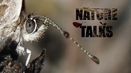 Nature Talks